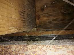 Residential - Commercial - Residential Inspection - Structural Investigation -Triplex 1