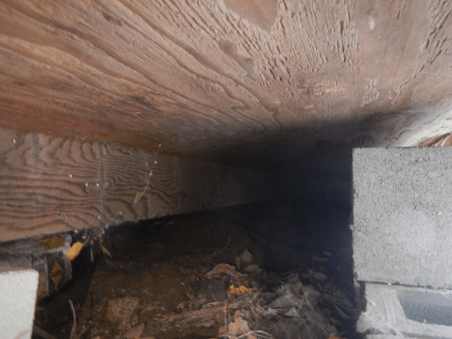 Residential Structural Foundation Investigation 2 -2